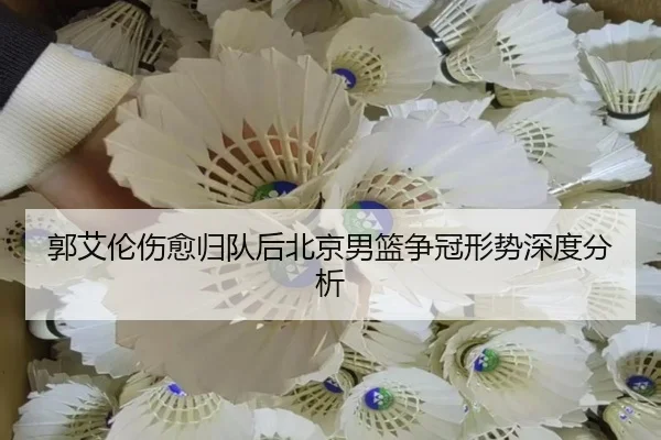 郭艾伦伤愈归队后北京男篮争冠形势深度分析