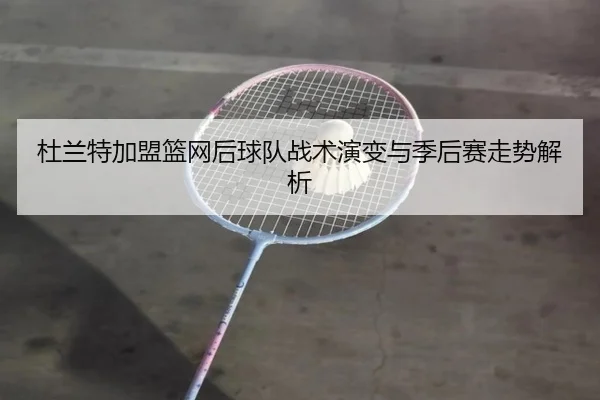 杜兰特加盟篮网后球队战术演变与季后赛走势解析