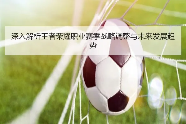 深入解析王者荣耀职业赛季战略调整与未来发展趋势
