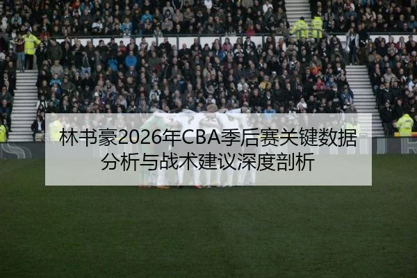 林书豪2026年CBA季后赛关键数据分析与战术建议深度剖析